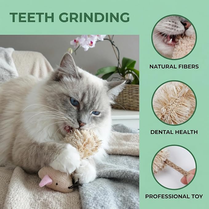 Ciieeo 3pcs Refillable Catnip Cat Toys for Indoor Cats & Kittens Plush Interactive Teething Chew Toy Mouse Shaped Catnip Pillow Assorted Colors - Image 6
