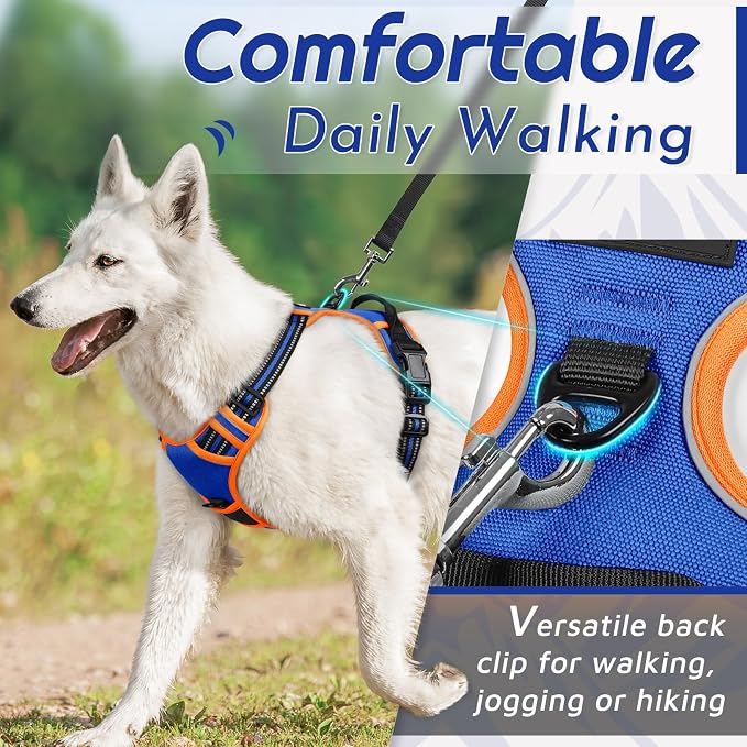 Eagloo Dog Harness for Small Dogs, No Pull Pet Vest with 2 Leash Clips | No Choke with Handle, Adjustable Comfort Fit, Reflective Strips, Easy Walking Control, Blue & Orange, Small - Image 4