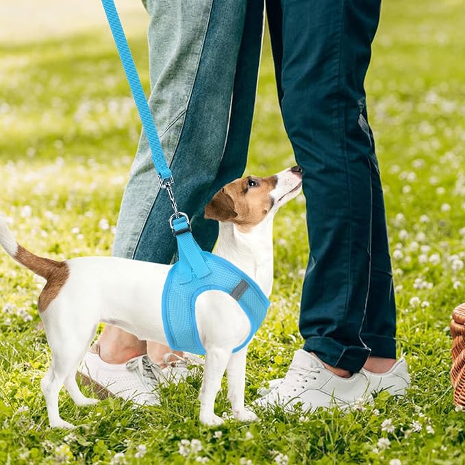 PUPTECK Dog Harness, Collar and Leash Set No Pull for Small Medium Sized | Soft Mesh Puppy Step-in Escape Proof Reflective No Choke Pet Cat Adjustable Walking Vest - Image 7