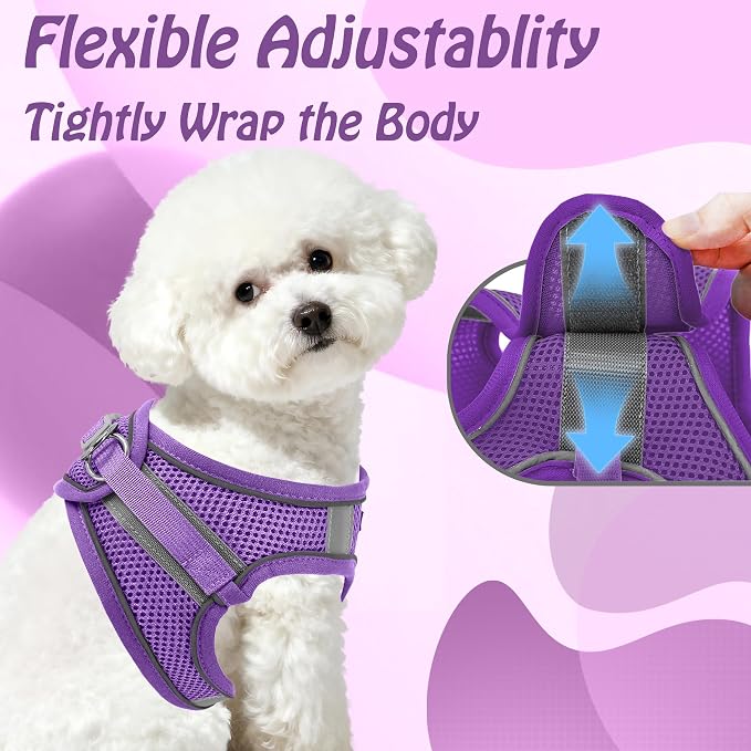 AIITLE Dog Harness and Leash Set, Step-in Puppy Pet Vest, Pure Purple XXXS | Light, Soft, Breathable Air Mesh, Escape-Proof, Easy on and Remove with Hook & Loop, Secure Reflective for Walking - Image 3