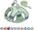 Step in Dog Harness & Leash Set with Reflective Design, Sage XXS | No Pull Puppt Pet Vest, Breathable Mesh, Escape-Proof Design with High-Stick Magic Tape, Outdoor Use for Chihuahua, Maltese by AIITLE-FORPETSBETTERLIFE