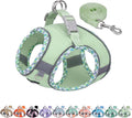 Teacup Puppy Harness with Leash, Escape-Proof Design, Sage S | No Pull Step-in Dog Vest Harness, Breathable Mesh, Reflective Design with Magic Tape, Outdoor Use for Poodles, Pomeranians by AIITLE-FORPETSBETTERLIFE