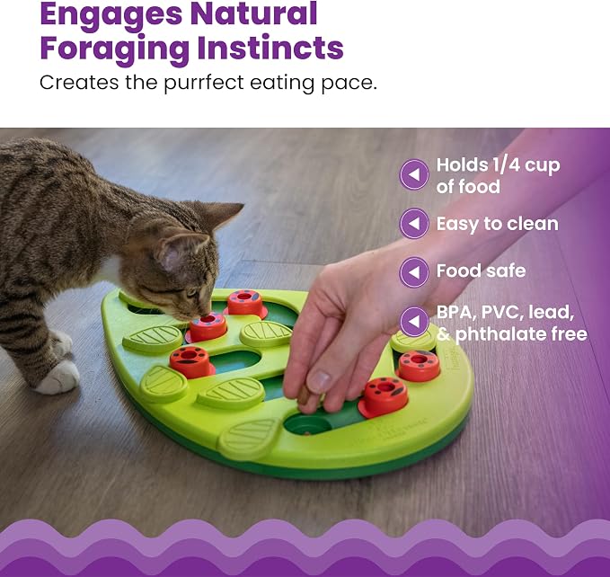 Catstages Nina Ottosson Buggin’ Out Puzzle & Play Cat Toy Treat Puzzle, 14" | Level 2 Intermediate, 16 Hidden Treat Cups, Problem Solving, Interactive Enrichment, Slow Feeder, Indoor Cats & Kittens - Image 4