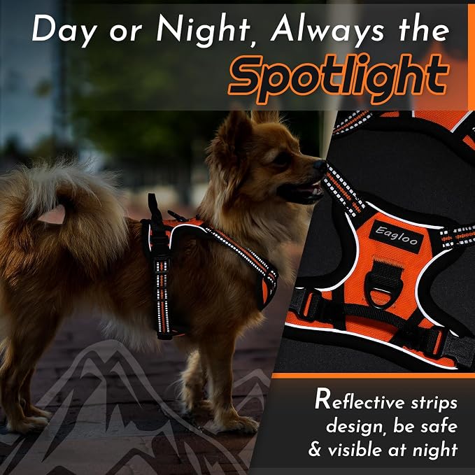 Eagloo Dog Harness for Small Dogs, No Pull Pet Vest with 2 Leash Clips | No Choke with Handle, Adjustable Comfort Fit, Reflective Strips, Easy Walking Control, Orange, X-Small - Image 8