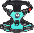 PoyPet No Pull Dog Harness Medium with Front Clip & Neck Release Buckle | No Choke, Adjustable Vest, Reflective, Back Clip, Lockable, Soft Padded Handle for Walking Training, M, Mint Blue by PoyPet