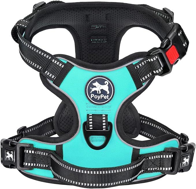 PoyPet No Pull Dog Harness Medium with Front Clip & Neck Release Buckle | No Choke, Adjustable Vest, Reflective, Back Clip, Lockable, Soft Padded Handle for Walking Training, M, Mint Blue by PoyPet