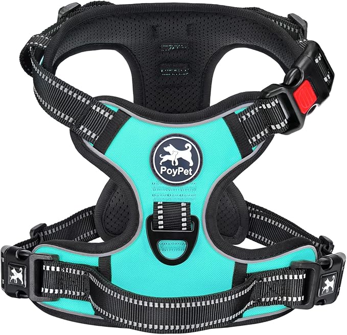 PoyPet No Pull Dog Harness Large with Front Clip & Neck Release Buckle | No Choke, Adjustable Vest, Reflective, Back Clip, Lockable, Soft Padded Handle for Walking Training, XL, Mint Blue by PoyPet