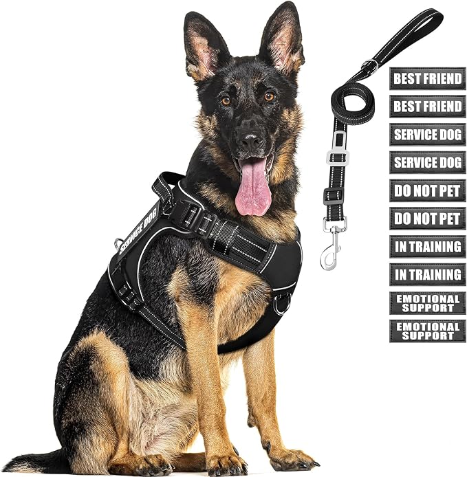 Tactical Dog Harness and Leash Set with 10 Patches for Large Dogs | Heavy Duty No Pull Service Dog Vest with Dog Seat Belt,Padded Handles,Adjustable Reflective for Training Hiking Black XL by MOOGROUPETSFRIEND