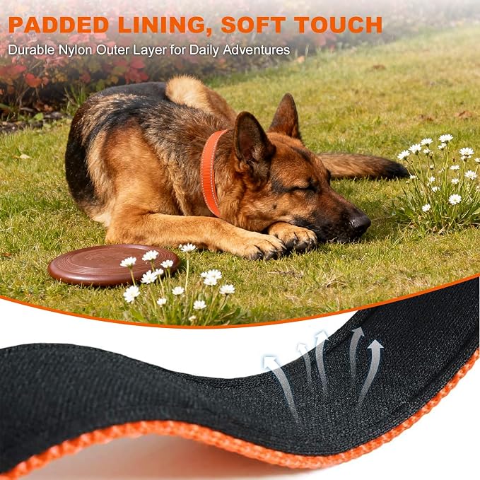 Taglory Reflective Extra Large Dog Collar, Comfortable for Safe Night Walks | Soft Neck Cushioning, Adjustable 18-28 in, Sturdy Webbing Withstands Strong Pullers, Zinc Alloy D-Ring for Leash and ID Tags - Image 4