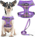 PUPTECK Small Dog Harness and Leash Set No Pull for XS XXS Sized Dogs Puppy | Escape Proof No Choke Pet Cat Adjustable Soft Padded Walking Vest by PUPTECK
