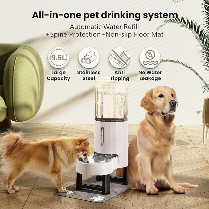 CZPET Elevated Dog Water Bowl Dispenser for Large Dogs (9.5L+Stand,White) | With Stainless Steel Bowl Gravity Waterer, Large Capacity and Drinking Area Noise-Free for Pets - Image 4