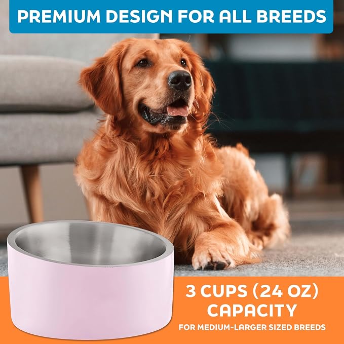Master Pet Supply Stainless Steel Slanted Dog Cat Food Bowl 24 oz Rose | Heavy Duty Double Wall Insulated Non-Slip Elevated Bowl for French Bulldogs Pugs Cats Anti Rust Dishwasher Safe, Rose Quartz - Image 7