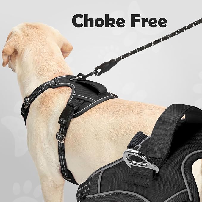 Dog Harness for X-Large Dog No Pull, Adjustable Pet Vest Harness, Vertical Handle Easy Control with 2 Leash Clips, Soft Material, Reflective Safe Night Walking for X-Large Size, Black, XL - Image 3