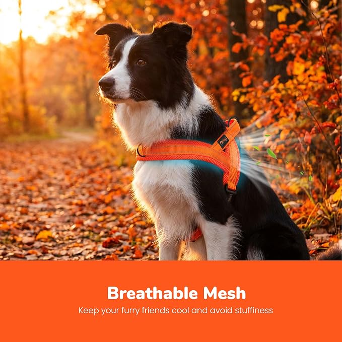 No Pull Dog Harness for Medium Dogs, Breathable Mesh Padded, Orange,M | Quick Fit, Easy On and Off, Lightweight, Reflective Vest Harness for Night Safty, Easy for Walking and Training, Chest 21-26" - Image 2