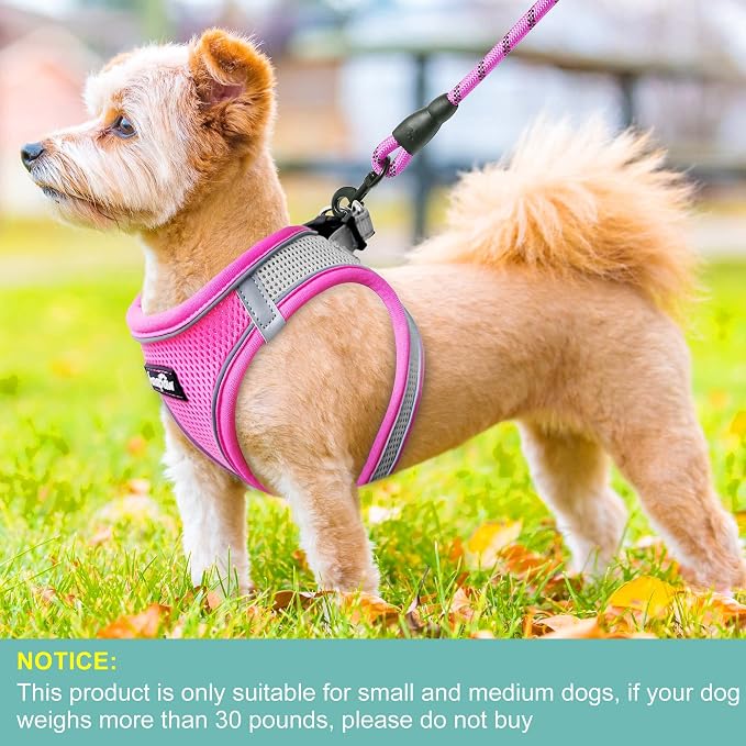 haapaw Dog Harness with Leash Set, No Pull Adjustable Reflective Step-in Puppy Harness with Thickened Padded Vest for Extra-Small/Small Medium Dogs - Image 4