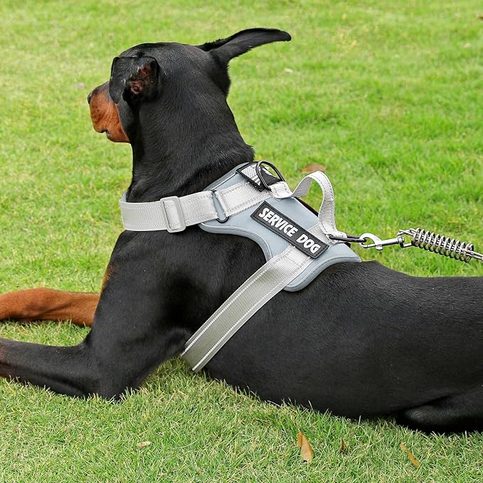 Service Dog Harness, Reflective Dog Vest Harness with 5 PCS Patches, Adjustable Soft Oxford Pet Harness, Inner Layer Mesh, Easy to Control for Small Medium Large Dogs - Image 6
