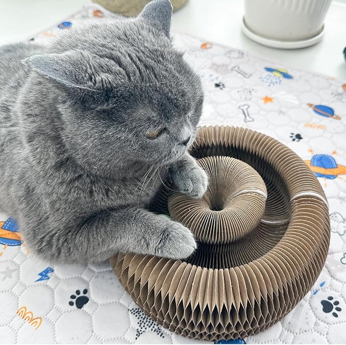Magic Accordion Cat Scratching Board - Interactive Toy for Bored Indoor Cats, for Indoor catscat Toys for Scratching Fun & Durable Cat Toys 2Pack - Image 6