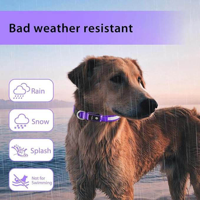 PcEoTllar Light up Dog Collar, for Night Walking, Adjustable, Purple, L | Colorful RGB Light, Waterproof, For Small Medium and Large Dogs, Durable Material, USB to Charge - Image 5