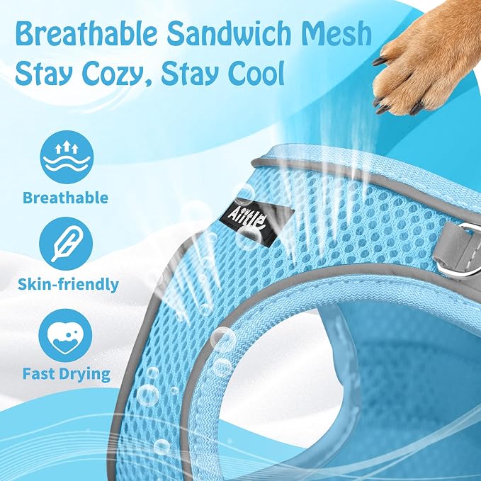 AIITLE Dog Harness and Leash Set, Step-in Puppy Pet Vest, Pure Blue XXS | Breathable Mesh, Adjustable Fit, Reflective Design, Padded Leash Handle, for Small-Medium Dogs & Cats, Walking, Training - Image 6