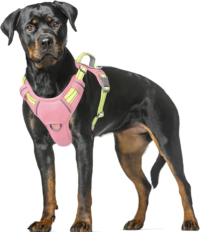 BARKBAY No Pull Dog Harness Large Reflective Dog Harness with Front Clip and Easy Control Handle for Walking Training Running with ID tag Pocket(Baby Pink & Sunlight,XL) by BARKBAY