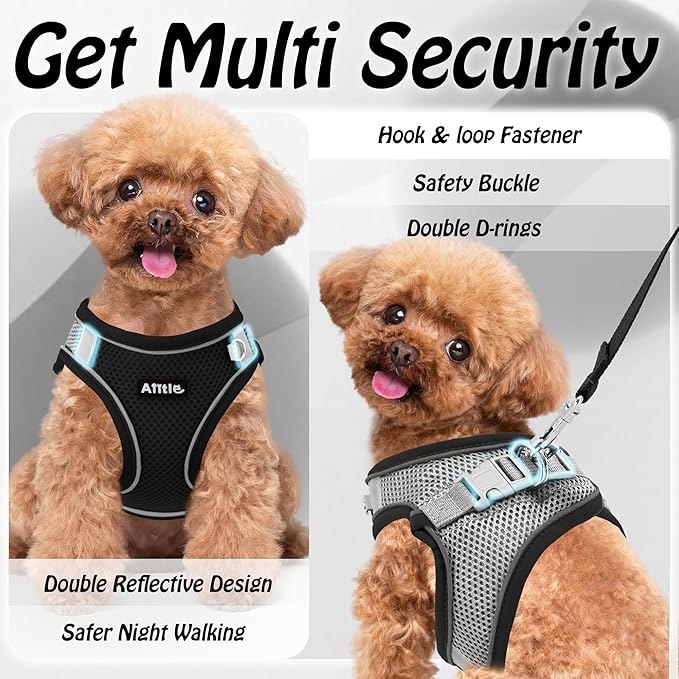 AIITLE Medium Dog Harness and Leash Set, Step-in Puppy Pet Vest, Black M | Breathable Mesh, Adjustable Fit, Reflective Design, Padded Leash Handle, for Small-Medium Dogs & Cats, Walking, Training - Image 9