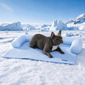 Spark Paws Cooling Couch Cover Dog Bed, Furniture Protector Mat | Non-Toxic Washable Pet Cooling Pad for Large, Medium and Small Dogs by SparkPaws