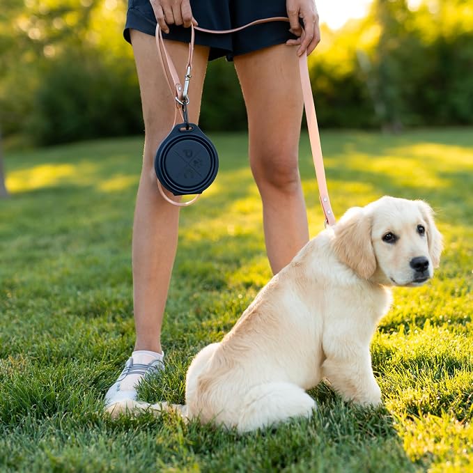 Pup Culture Dual Collapsible Dog Bowls | Silicone Travel Water Bowl for Dogs | Food Grade, No Plastic Rim, Portable Dog Bowl for Food and Water - Easy to Clean | BPA Free and Safe for Your Pup-Green - Image 6