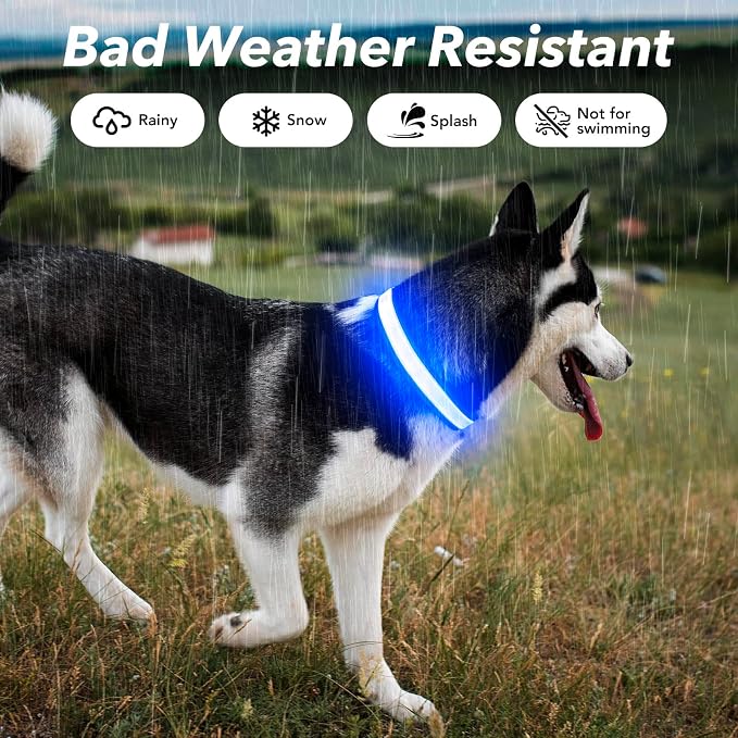 Visinite Light Up Dog Collars for Small Medium Large Dogs, Fully Adjustable LED Dog Collar USB Rechargeable, 3 Glowing Modes Pet Dog Collar, Lighted Dog Collars for Night Walking Safety - Image 4