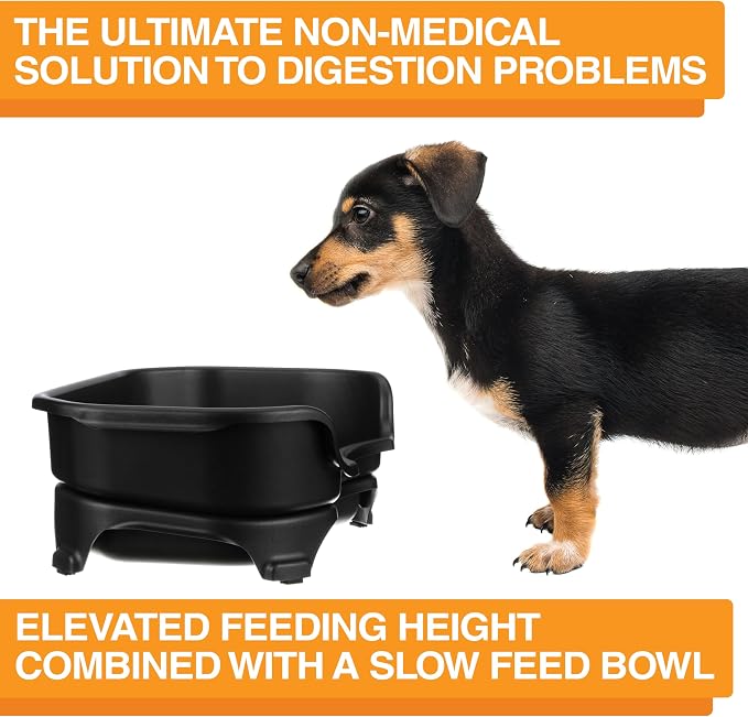 Neater Feeder Express Mess Proof Dog Bowls Elevated for Small Breed – Made in USA – No Spill Raised Slow Feeder Elevated Dog Bowl Stand, Stainless Steel Food and Water Bowl Set, Black - Image 6