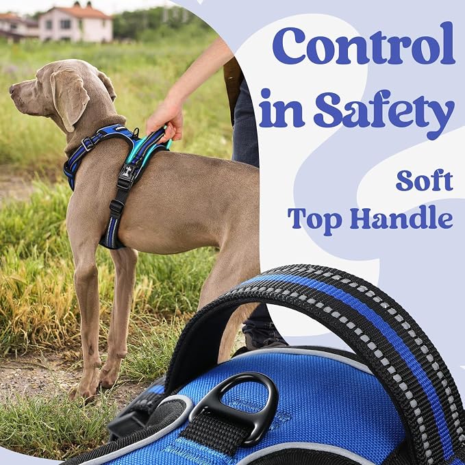 rabbitgoo Dog Harness for Large, Updated Easy On & Off with 3 Buckles | No Pull No Choke, Walking with 2 Clips and Handle, Adjustable Soft Reflective, Blue, X-large - Image 4
