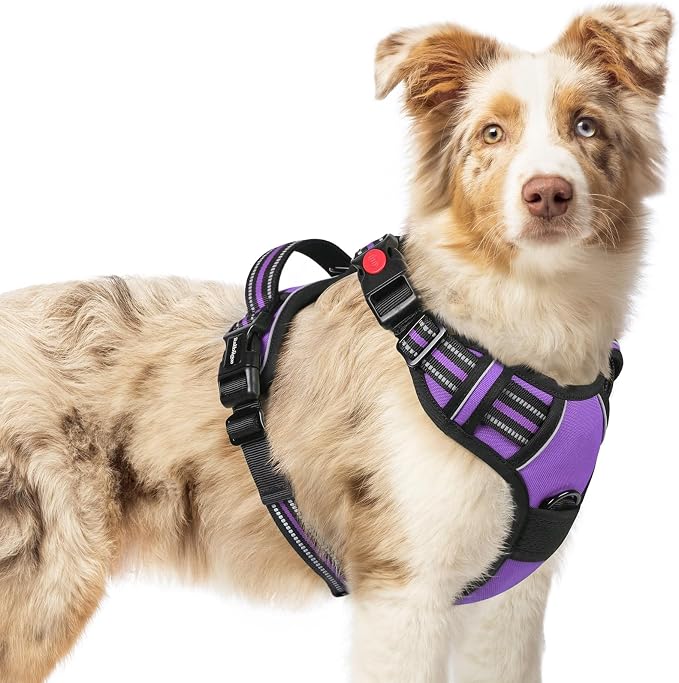 rabbitgoo Dog Harness Medium Sized, Updated Easy On & Off with 3 Buckles | No Pull No Choke, Walking with 2 Clips and Handle, Adjustable Soft Reflective, Purple, Medium by rabbitgoo