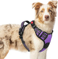 rabbitgoo Dog Harness Medium Sized, Updated Easy On & Off with 3 Buckles | No Pull No Choke, Walking with 2 Clips and Handle, Adjustable Soft Reflective, Purple, Medium by rabbitgoo