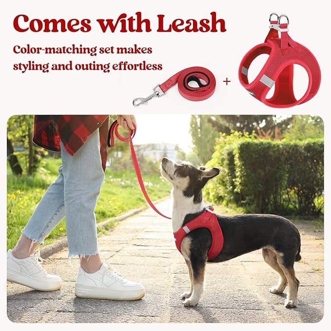 rabbitgoo Dog Harness Small Sized and Leash Set, Step-in Puppy Pet Vest | Light, Soft, Breathable Air Mesh, Easy on and Remove with Hook & Loop, Secure Reflective for Walking, Red M - Image 6