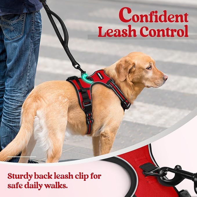 rabbitgoo Dog Harness, No Pull for Large Dogs with 2 Leash Clips, Pet Vest | No Choke with Handle, Adjustable Soft Padded, Reflective, Easy Control for Walking, Red, Large - Image 6