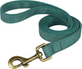Didog PU Leather Dog Leash for Small Dogs, 5/8in x 4ft, Green | Soft Grip Full Control, Easy Clean, Metal D-ring for Poop Bag Holder, Tangle-Free 360° Swivel Clasp, for Walking & Training by Didog