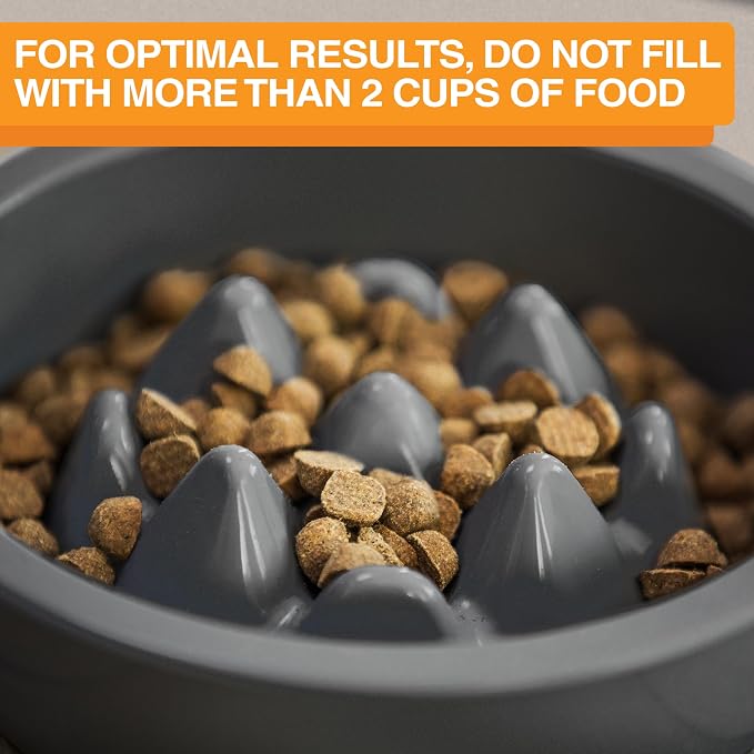 The Niner Slow Feed Bowl - Raised Peaks Slow Down Pets Eating - Fits Elevated Feeders Including Neater Feeder Large Sizes - Gentle on Teeth and Gums - Holds up to 2 Cups (Gunmetal Grey) - Image 6