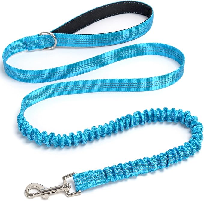 5FT Bungee Dog Leash Shock Absorbing Lightweight Small Medium Dogs | Reflective Nylon Lead- 2cm Wide- Soft Handle- Anti-Pull Training- 6 Colors by Mycicy