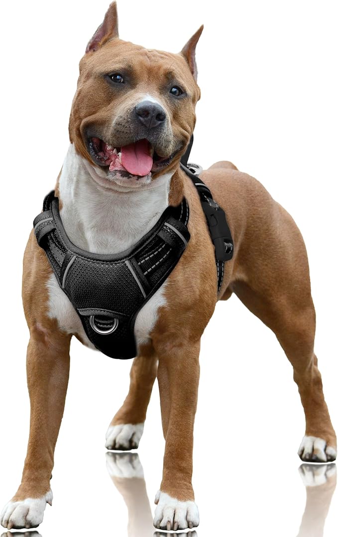 BARKBAY No Pull Dog Harness Large Reflective Dog Harness with Front Clip and Easy Control Handle for Walking Training Running with ID tag Pocket(Black,L) by BARKBAY