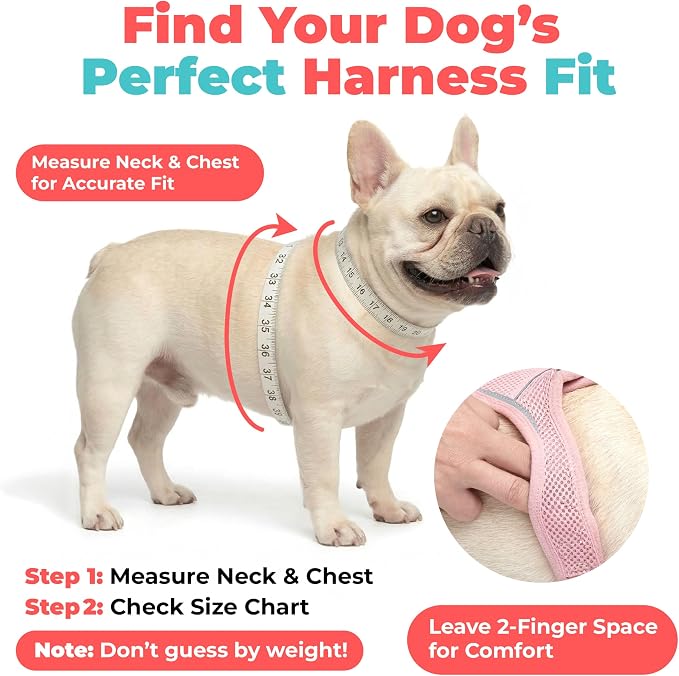 Voyager Step-in Air Dog Vest Harness - Sky Blue, X-Large | 20.5 - 23" in Chest, Reflective Bands, All Weather Breathable Air Mesh, Cats Compatible, Lightweight, Fast Drying - Image 7
