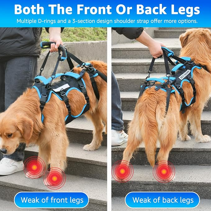 Dog Lift Harness for Extra Large Dogs, 2-in-1 Detachable Support Harness, Full Body Carrying with 4 Handles, Dog Sling for Large Dogs Hind Leg Support(Black, XX-Large) - Image 3