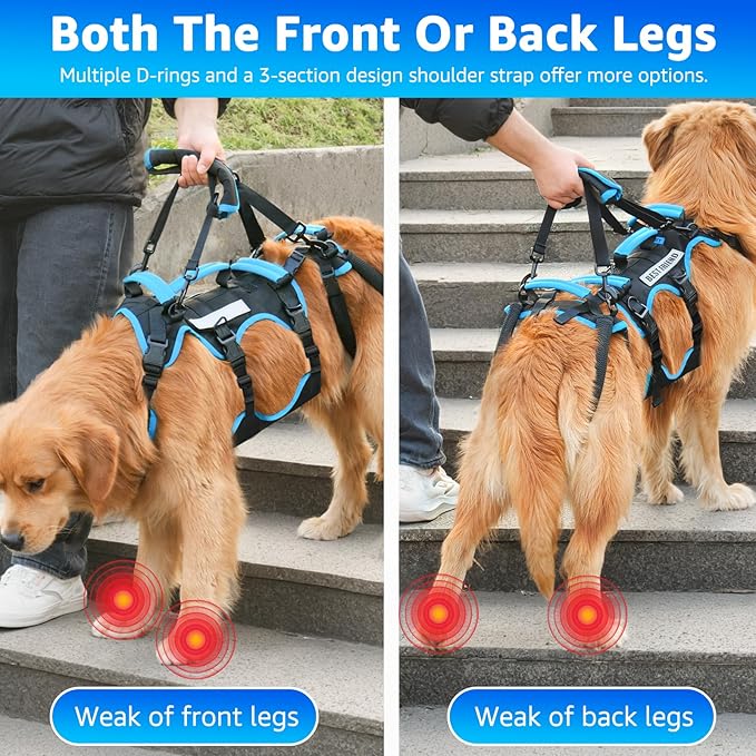 Dog Lift Harness for Medium Male Dogs Friendly, 2 in 1 Detachable Support Harness, Full Body Dog Carrying with 4 Handles for Old/Disabled/Joint Injuries Dogs (Black, Medium) - Image 2