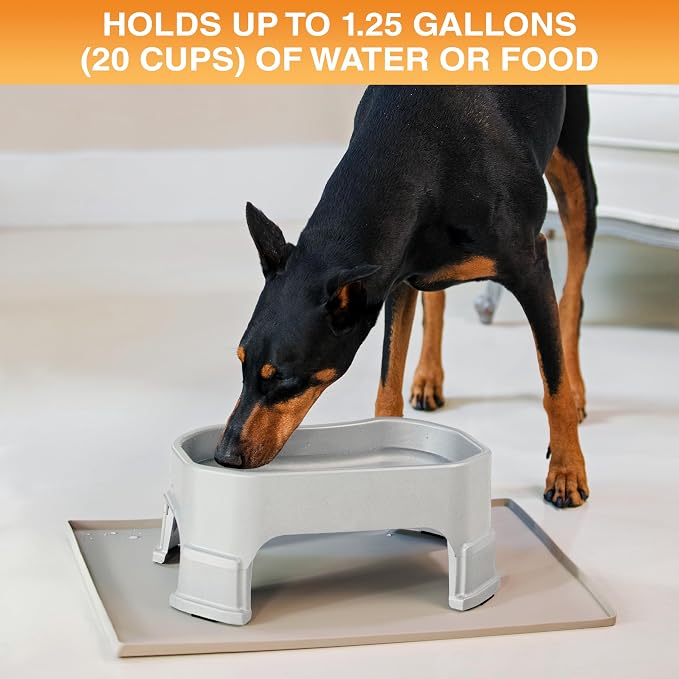 Neater Pet Brands Extra Large Water Bowl for Dogs, Elevated Outdoor Dog Water Bowl (1.25 Gallon XL Capacity), Big Trough Style Food Dish for Indoors or Outside, No Spill Large Dog Bowls, Vanilla Bean - Image 2