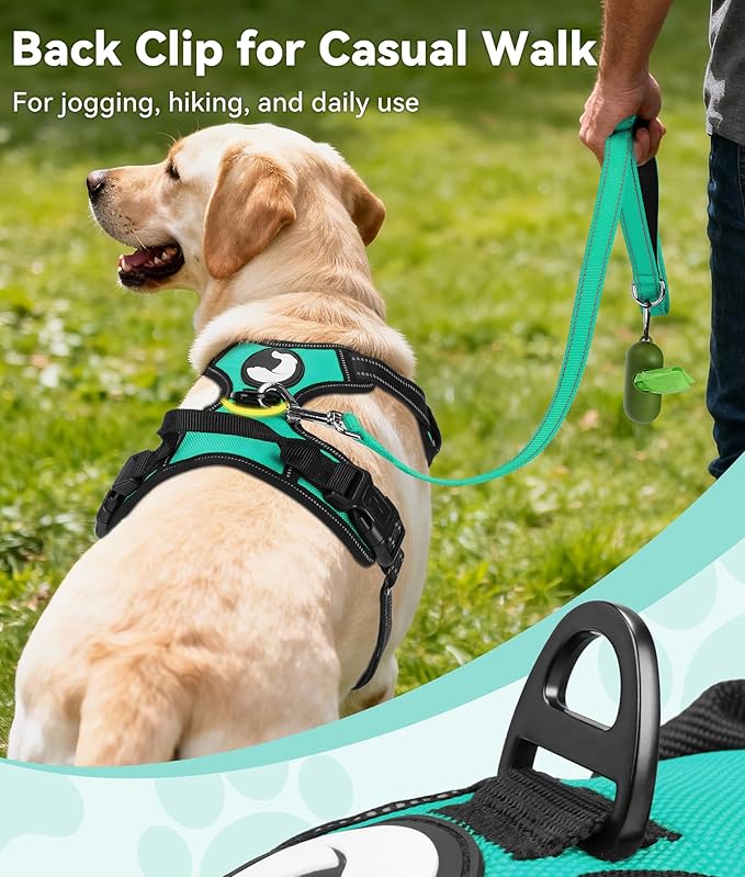 Joytale No Pull Dog Harness Medium Sized Dog, Front Clip, Teal | Grab Handle for Instant Control, Padded & Adjustable Vest, Sturdy Metal D-Rings, for Safe Training & Daily Walking - Image 4