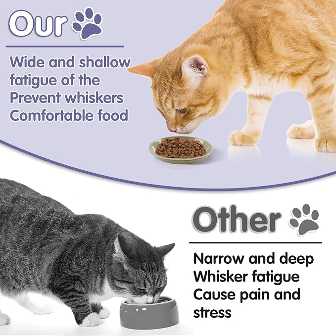 6 Pack Cat Food Bowl, Ceramic Cat Bowls, Anti Whisker Fatigue Cats Bowl Set | 5.5 Inches Shallow Wide Kitten Plates for Food and Water (CaiSe-B) - Image 7