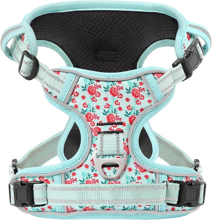 Timos Dog Harness, Front Clip No Pull Medium Sized with Handle, Cyan, M | No Choke, Adjustable Reflective Soft Padded, Quick Release 3 Buckles, Easy On & Off, Front & Back 2 Clips for Outdoor Walking by Timos