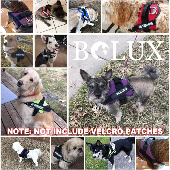 Dog Harness, No-Pull Reflective Dog Vest, Breathable Adjustable Pet Harness with Handle for Outdoor Walking - No More Pulling, Tugging or Choking (Green, S) - Image 5