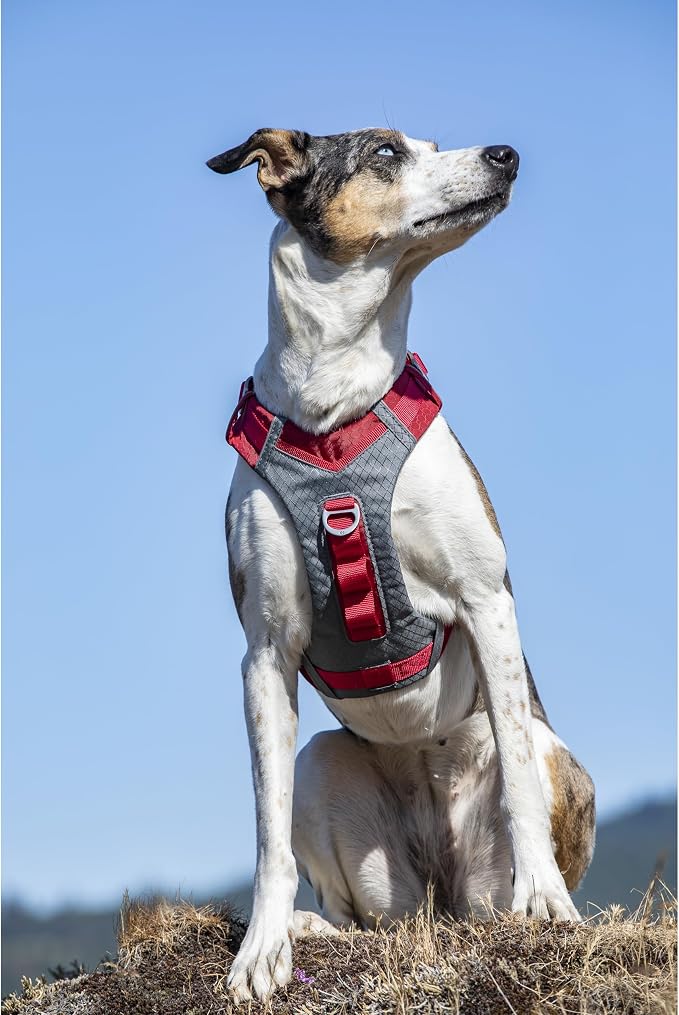 Kurgo Journey Air Dog Harness, Red, Large | Padded Chest, Ripstop Outer & Breathable Mesh, Back Assist Handle, Rust-Free Aluminum Hardware, Reflective Trim - Image 2