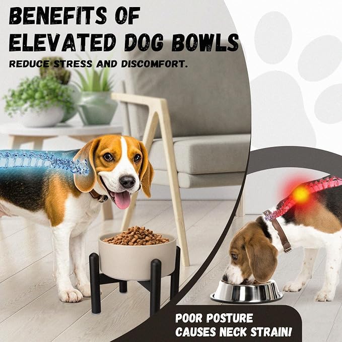 Raised Ceramic Dog Bowl Set with Stand, 2 Cups Elevated Dog Food Stand | 6.1'' Single Dog Food or Water Bowl Set, Non-Slip Dog Feeding Dishes for Small to Medium Breeds, 28.75 OZ, White - Image 5