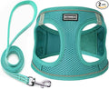 Dog Harness with Leash Set, Step-in Adjustable Puppy Vest, Forest Green XL | Lightweight Breathable Air Mesh, Night Safety Reflective, No Pull Puppy Vest Harnesses for Small Medium Large Dogs, Cats by BOOMIBOO