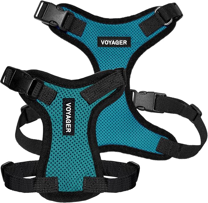 Voyager Step-in Lock Dog Harness - Turquoise/Black Trim, X-Small | 13 - 16" in Chest, Adjustable, Breathable Air Mesh, Lightweight for Daily Walks, Strong Clips, Heavy Duty D-Ring - Image 6